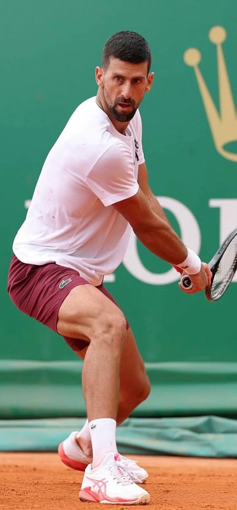 蒙特卡洛大师赛碾压法网，德约科维奇高光表现